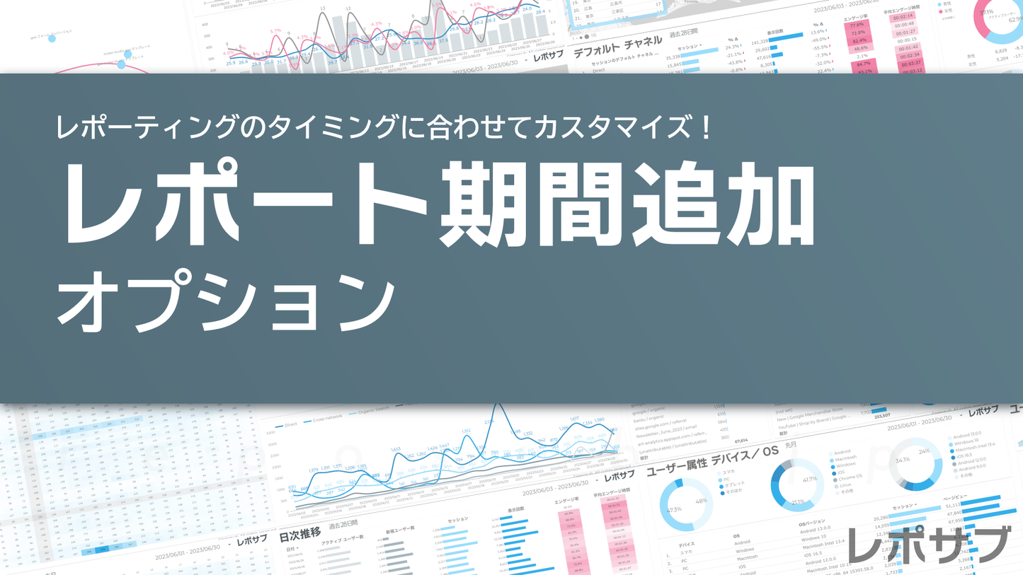 オプション|レポート期間追加