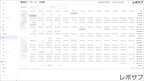 【買い切り】Google広告レポート：過去１年間の月次レポート（対象期間を過去13カ月に設定済み）データポータル（Looker Studio）