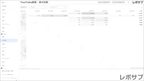 【買い切り】Google広告レポート：過去１年間の月次レポート（対象期間を過去13カ月に設定済み）データポータル（Looker Studio）
