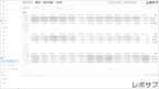 【買い切り】Google広告レポート：過去１年間の月次レポート（対象期間を過去13カ月に設定済み）データポータル（Looker Studio）