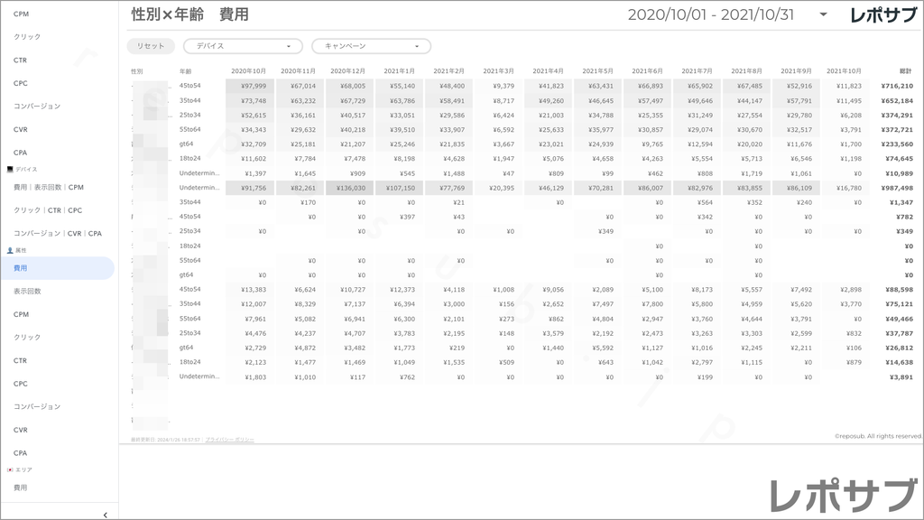 【買い切り】Google広告レポート：過去１年間の月次レポート（対象期間を過去13カ月に設定済み）データポータル（Looker Studio）