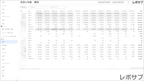 【買い切り】Google広告レポート：過去１年間の月次レポート（対象期間を過去13カ月に設定済み）データポータル（Looker Studio）