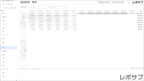【買い切り】Google広告レポート：過去１年間の月次レポート（対象期間を過去13カ月に設定済み）データポータル（Looker Studio）